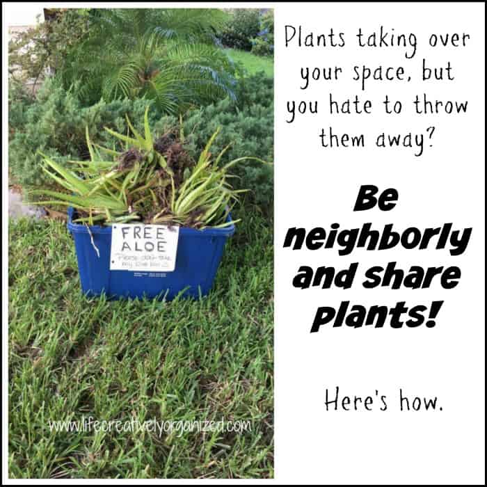 Be neighborly and share plants