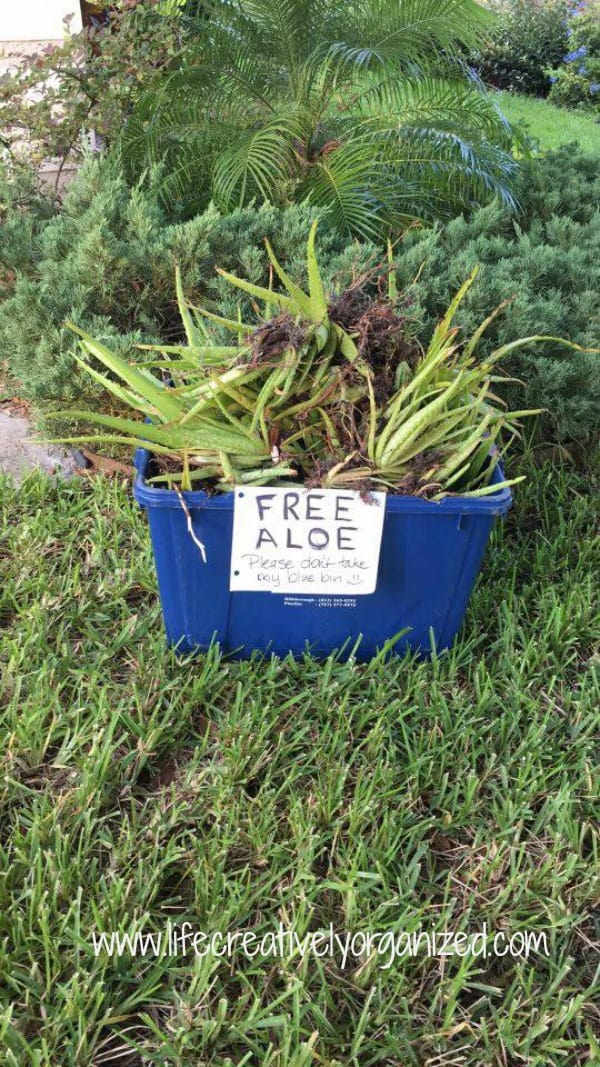 Be neighborly – share plants! Put on a simple give away sign for free plants