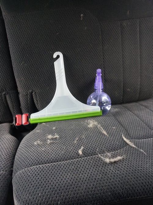 Ten ways to organize and clean your car! Use squeegee to remove dog hair from upholstery