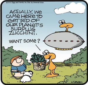 Ziggy comic