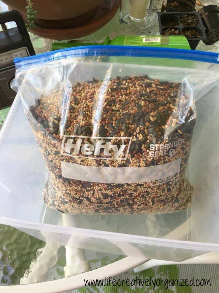 filledbagbirdseed LIFE, CREATIVELY ORGANIZED