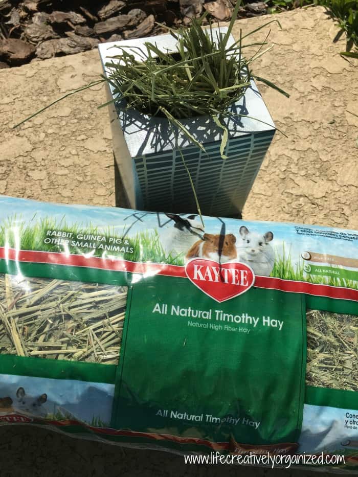 filled hay box
