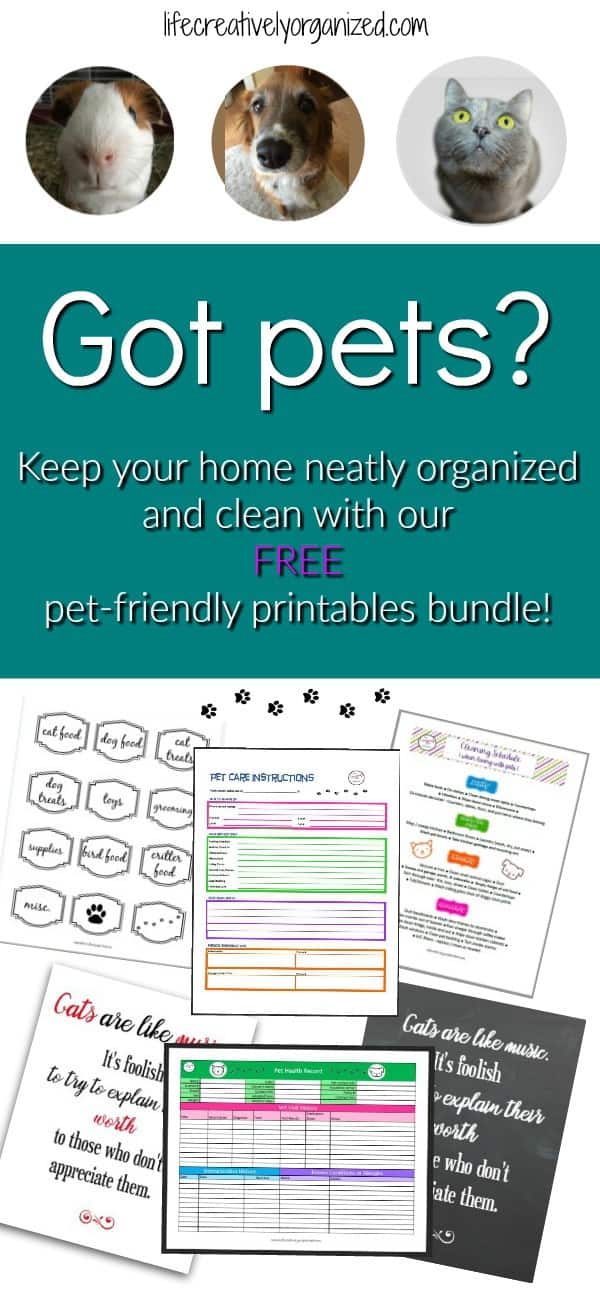 Pet printables bundle - LIFE, CREATIVELY ORGANIZED